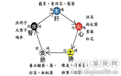 御女术之阴阳双修全文_生于阴阳和于术数_阴阳和合术散