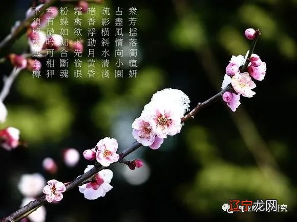 风水堂：八字印重而杀轻的八字