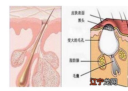 刘姓好听到爆炸的名字_李姓好听到爆炸的名字女孩_李姓好听到爆炸的名字女