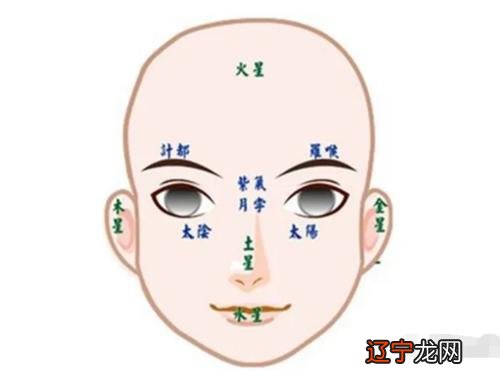 男的鹰钩鼻面相 鹰勾鼻子垂眼的男人面相