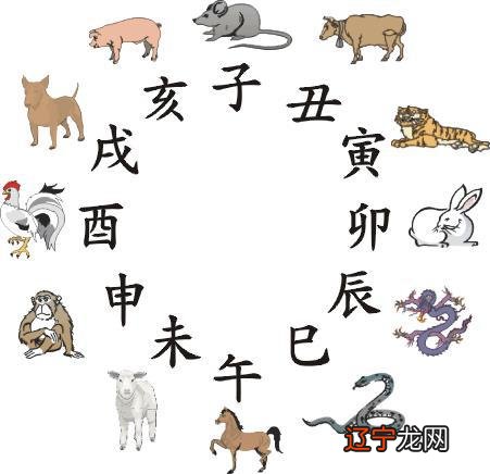 生肖龙和猴年份_属猴的年份_生肖猴的年份