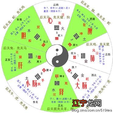 玄空飞星排盘 玄空风水排盘_site99166.com 玄空派风水大师排名_玄空风水学大师