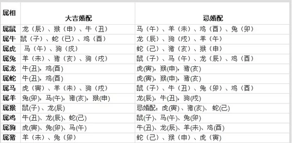 3、哪些属相的人乙宜婚配:属兔的和什么属相的人结婚好