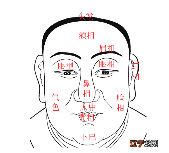 在线面相算命