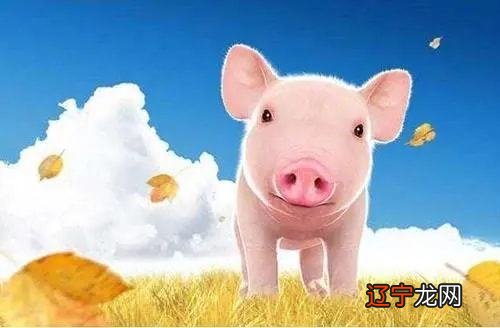 属虎本命年的运势如何?请问农历1986年11月4日11;40生的人命怎么样?