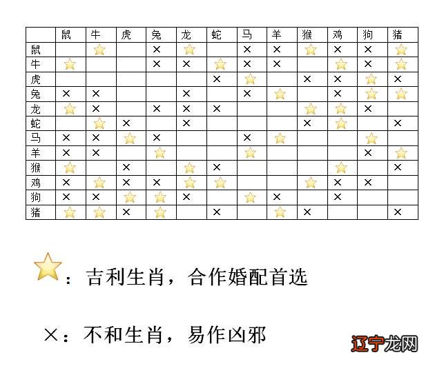 生肖兔和属婚姻如何_生肖属兔适合住哪一楼_属羊的住14楼好不好