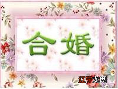 九星合婚是什么意思_八字合婚 免费算命生辰八字婚_合婚中婚是什么意思