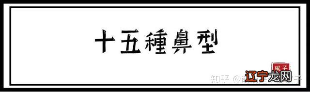 十五种鼻型，你属于哪一种？