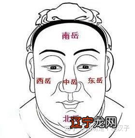 十五种鼻型，你属于哪一种？