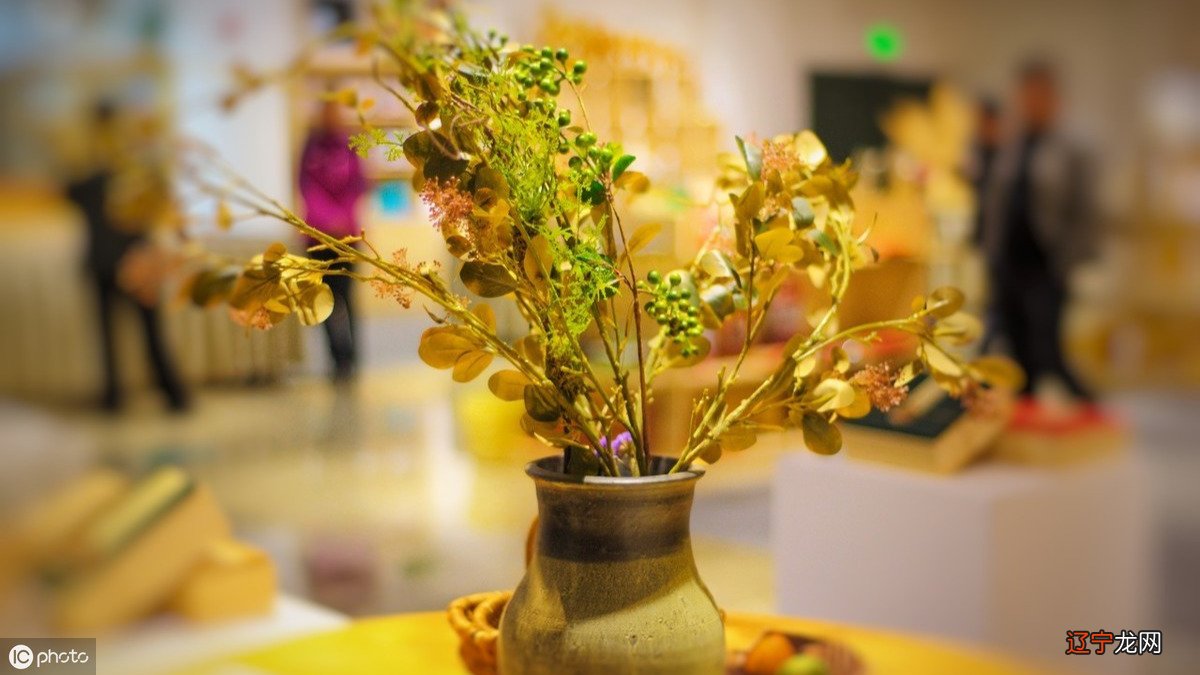 刘老师,什么是最好的风水啊?我们买了房子你能帮我们去看看风水吗?