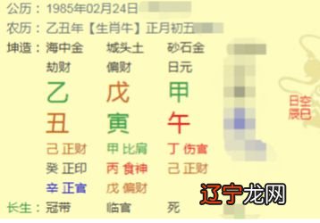 八字日柱看猴年运势_丙子日柱看2018年运势_八字日柱看你2016年运势