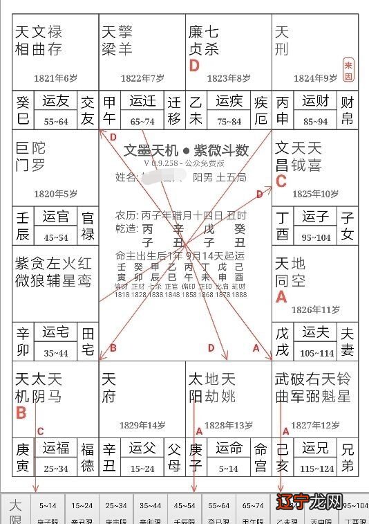 紫薇命盘查询详解_紫薇命盘_免费紫薇命盘查询