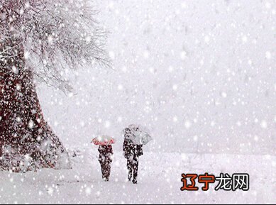 梦见大雪满地很厚_梦见大雪纷飞_梦见大雪阻碍交通