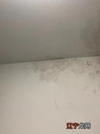 【深蓝_3296有用】房屋漏水代表什么?如何收纳?