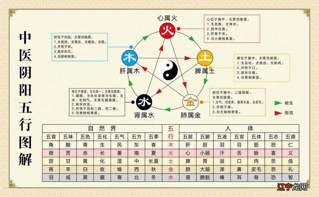 男女婚配相克相生查询_五行相生相克关系_食物的相生与相克