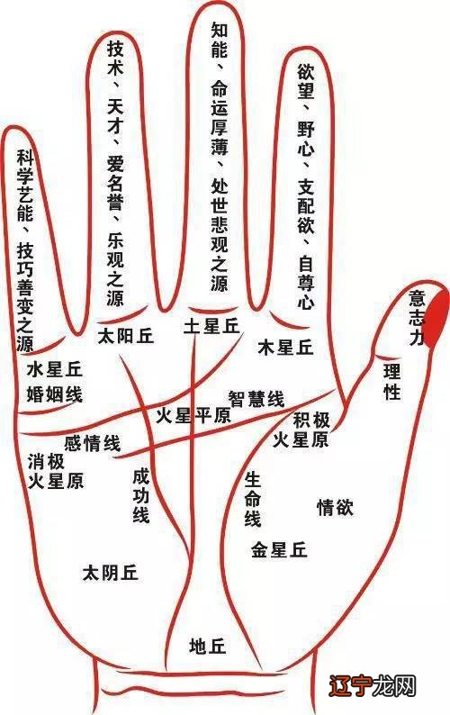 男人嘴巴小能发财吗_靠女人发财的男人八字_男人发财痣