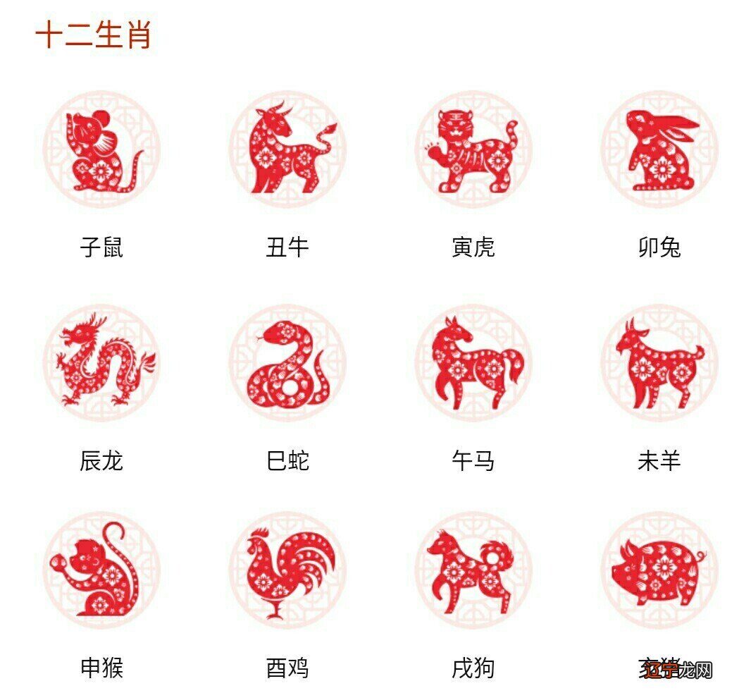 生肖配对姻缘可信吗_十二生肖配对姻缘合婚_生肖生肖配对姻缘查询