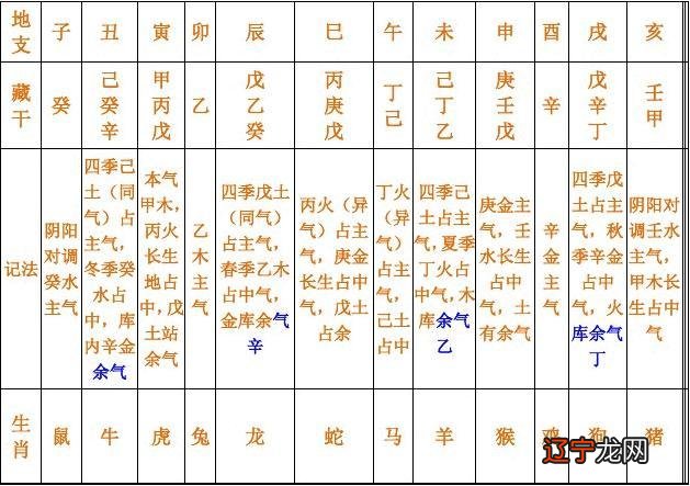 天干十神表 地支藏干表_八字天干地支十神_八字天干和地支的关系