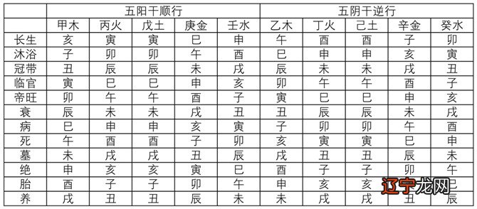 天干十神表 地支藏干表_八字天干地支十神_八字天干和地支的关系