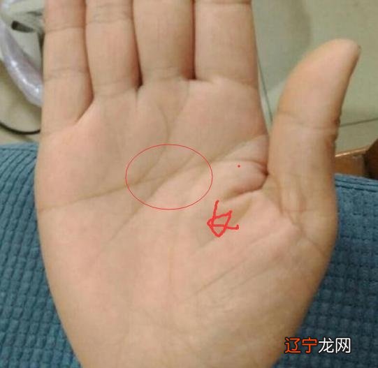 手相婚姻视频解析婚姻线短_手相没有事业线怎么看婚姻_看手相婚姻