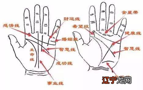 有口皆碑的面相入门_隶书曹全碑入门视频_汉隶《乙瑛碑》：隶书技法入门