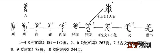 黄帝姓姬，炎帝姓姜？甲骨文改写认知