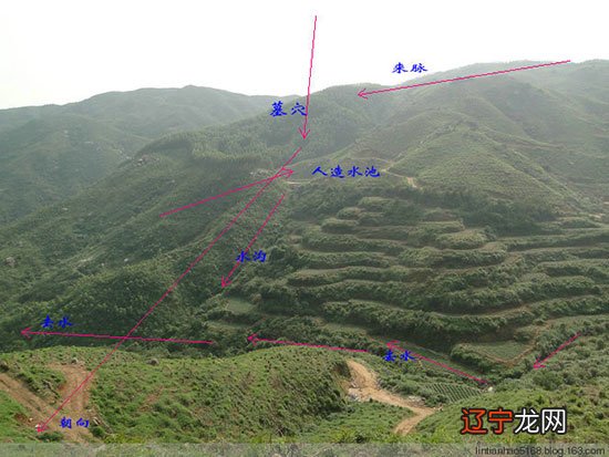 中国古代术数著作_矢数道明的医学著作_矢数道明的著作