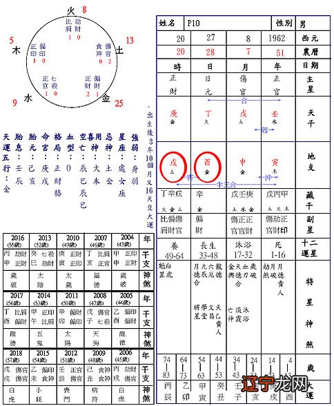 十天干十二地支_地支藏干分数表_十天干与地支喜忌