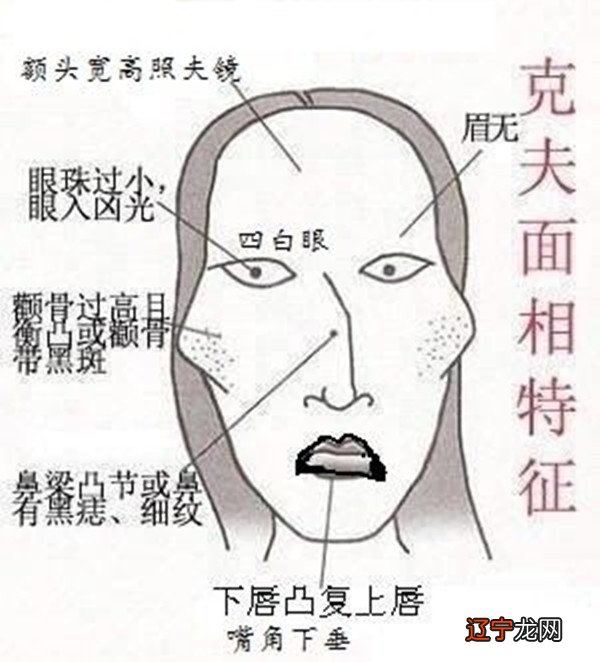 相学书籍入门_中国手相学入门_手相学入门