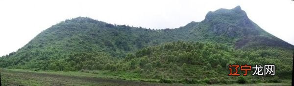 风水宝地口诀_龟地风水风水墓地大全_民间坟墓风水知识口诀