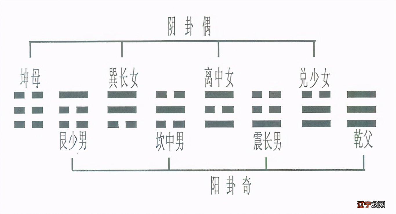 《周易?神农图》传奇之七：一切真有天数？藏在数后的卦被发现