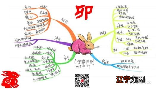 1962年属相是什么命 1962年属兔今年运势