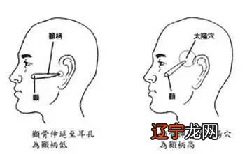 男人颧骨看面相要点