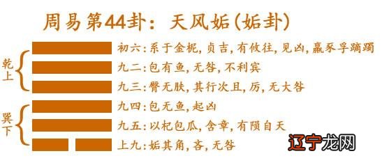 周易算命网六爻起_眼皮跳测吉凶六爻占卜周易卧龙网_六爻预测和周易