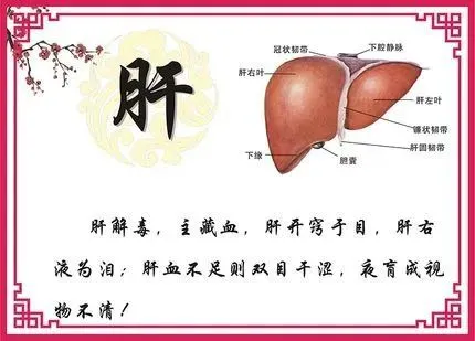 八字缺水少木_八字木多水少_八字水太旺木少的女人