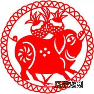 生肖配对查询表+属相_生肖属相大全_属相生肖