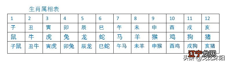 不明白？其实天干地支很好懂