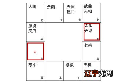 紫微命盘中命宫无主星借对宫太阳天梁详解