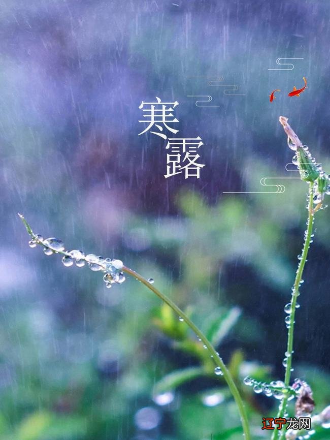 寒露的节气特点_寒露是什么节气_寒露 节气