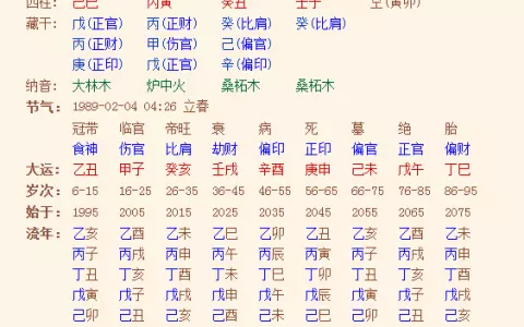 5、四柱八字解析:八字术语详解：四柱八字命理术语解释大全