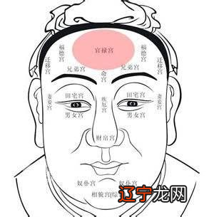 崇明长兴岛垂珠园_双耳垂珠的男人_垂珠试族谱格式下载