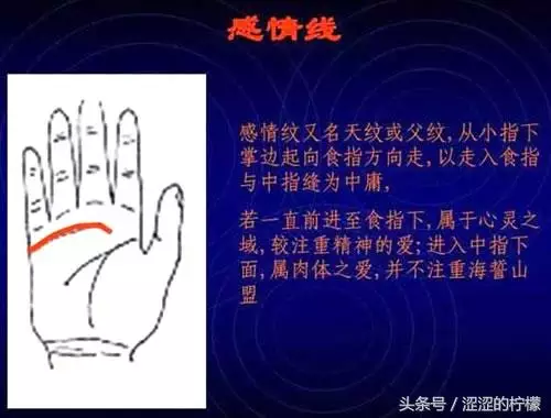 扫描手掌纹算命，手相测试扫一扫