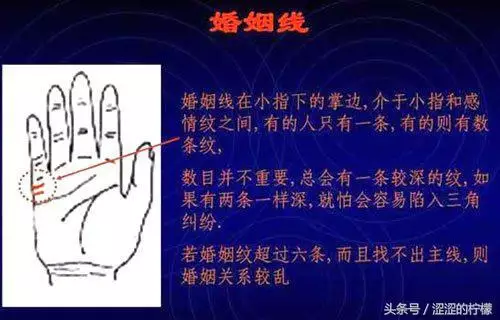 扫描手掌纹算命，手相测试扫一扫