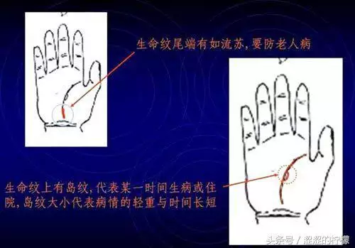 扫描手掌纹算命，手相测试扫一扫