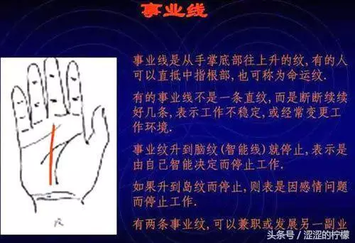 扫描手掌纹算命，手相测试扫一扫