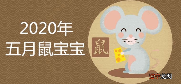 鼠年几月出生好_2020年鼠宝宝出生时辰_2020年鼠宝宝几月出生时辰好