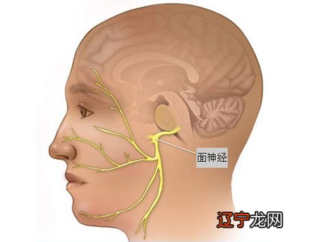 右眼皮天天跳是怎么回事啊_左眼皮跳是怎么回事_左眼皮老跳是怎么回事