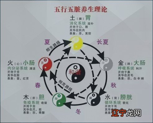 数字能量学五行与健康，数易文化五行健康怎么看