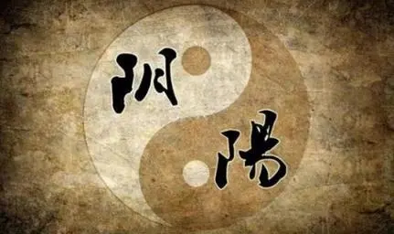 鬼吹灯中《十六字阴阳风水秘术》为什么只剩半本？