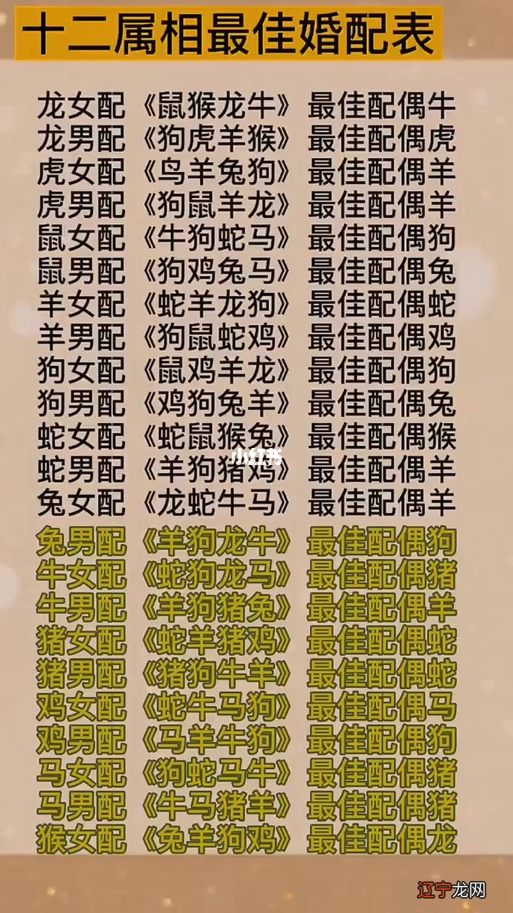 八字知识之八字合婚_选楼层按属相准还是按八字准_属相合婚准还是八字合婚准